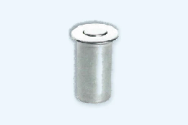 Dust Socket