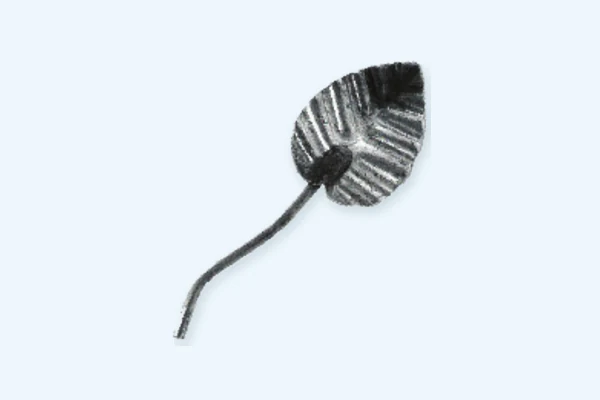 Single Leaf