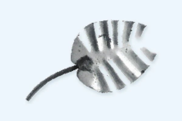 Big Single Leaf