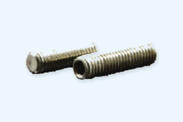 S/S Socket Screw With Flat Point