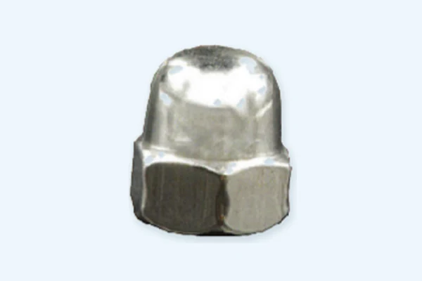 S/S Cap Nut