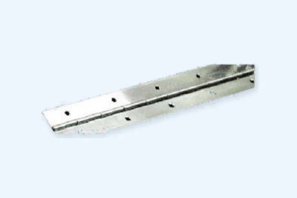 S/S Long Hinges