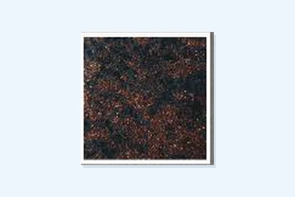 Unique-Season Chocolate Cream