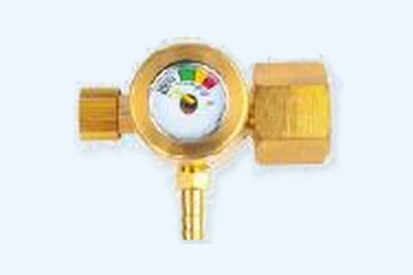 Gas Regulator