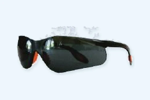Sunglasses (Black)