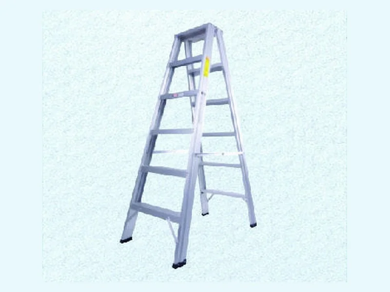 High Quality Ladder