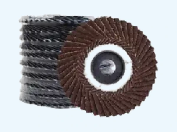 4″ Curve Hop Disc